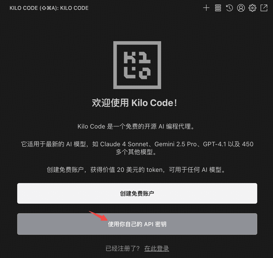 选择 API Key 方式