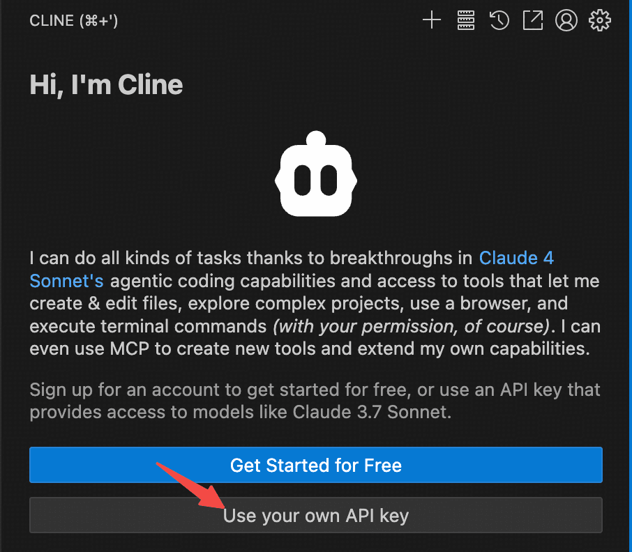 选择 API Key 方式